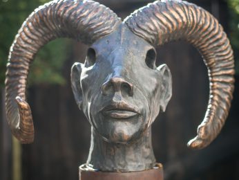Luana Kroner-Stasek, 2013, Pan Mufflon Luana Kroner-Stasek, 2013, Pan Mufflon