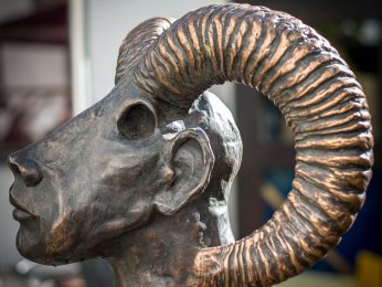 Luana Kroner-Stasek, 2013, Pan Mufflon Luana Kroner-Stasek, 2013, Pan Mufflon
