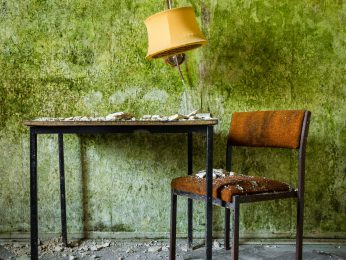 Thomas Windisch, Mossy still life, 2015 Thomas Windisch, Mossy still life, 2015