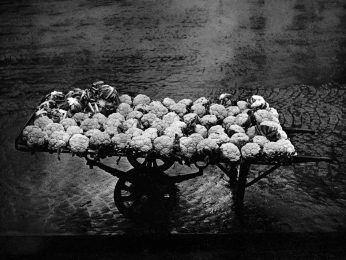 Robert Häusser - Wagen mit Kohl - 1940