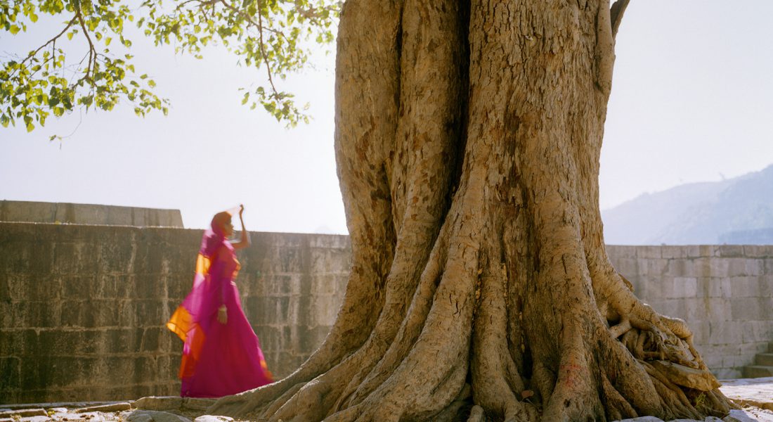 André Wagner, Pink Sari, 2011 André Wagner, Pink Sari, 2011